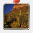 Search for pipe organ christmas tree decorations Arid