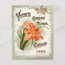 Search for vintage seed packets postcards Flower