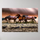 Search for runing posters Nature