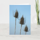 Search for arrangement cards Plant