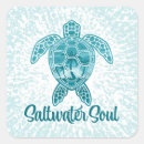 Search for saltwater stickers Beach