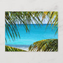 Search for palm tree postcards Tropical beach