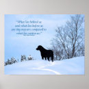 Search for lied posters Motivational quote
