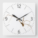 Search for creepy spider clocks Horror
