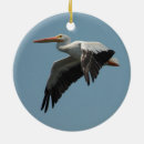 Search for pelican christmas tree decorations Bird