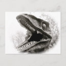 Search for rex postcards Fun