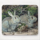 Search for c19th mousepads London