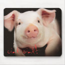 Search for oink electronics Pig