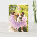 Search for funny boxer dog birthday cards Humour