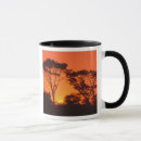 Search for claudia mugs Africa