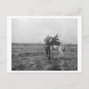 Search for saddles postcards Red