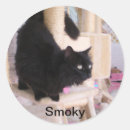 Search for cats rule stickers Black cat