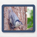 Search for backyard mousepads Wildlife
