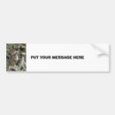 Search for owls bumper stickers Nature