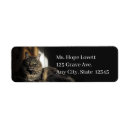 Search for green eyes return address labels Cat