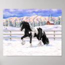 Search for draught horses posters Gypsy vanner