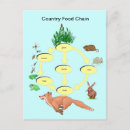 Search for chained postcards School
