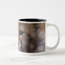 Search for masai mugs Animals in the wild