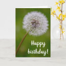 Search for dandelion birthday cards Photography