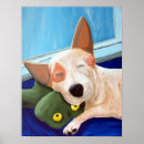 Search for queensland heeler posters Dog