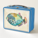 Search for fish lunch boxes Portrait
