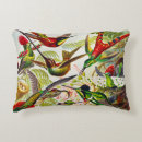 Search for hummingbird cushions Kunstformen der natur