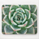 Search for plants mousepads Botany