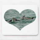 Search for dolphin mousepads Photography