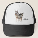 Search for working dogs hats Animal