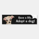 Search for adopt a dog bumper stickers Shelter