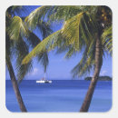 Search for negril jamaica stickers Palm tree