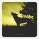 Search for wolf silhouette stickers Nature