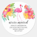 Search for pink hibiscus flower stickers Beach