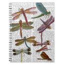 Search for dragonflies Antique