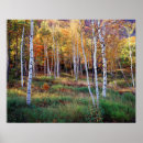 Search for backcountry art Superstock