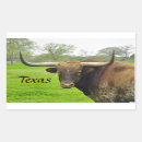 Search for longhorns stickers Texas