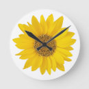 Search for bright clocks Sunflowers