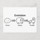 Search for evolution postcards Funny