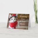 Search for calico christmas cards December
