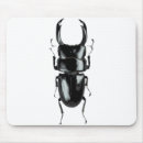 Search for stags mousepads Beetle
