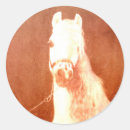 Search for gypsy stickers Bohemian