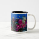 Search for shallow mugs Environment