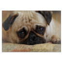 Search for dog cookware Pug