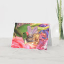 Search for terrapins cards Tortoise