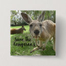 Search for kangaroo badges Wildlife
