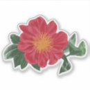 Search for camellia stickers Botanical