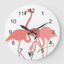 Search for flamingo clocks Birds