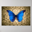 Search for blue damask posters Butterfly