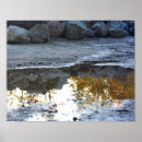 Search for puddle posters Photography
