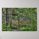 Search for new forest posters Woods